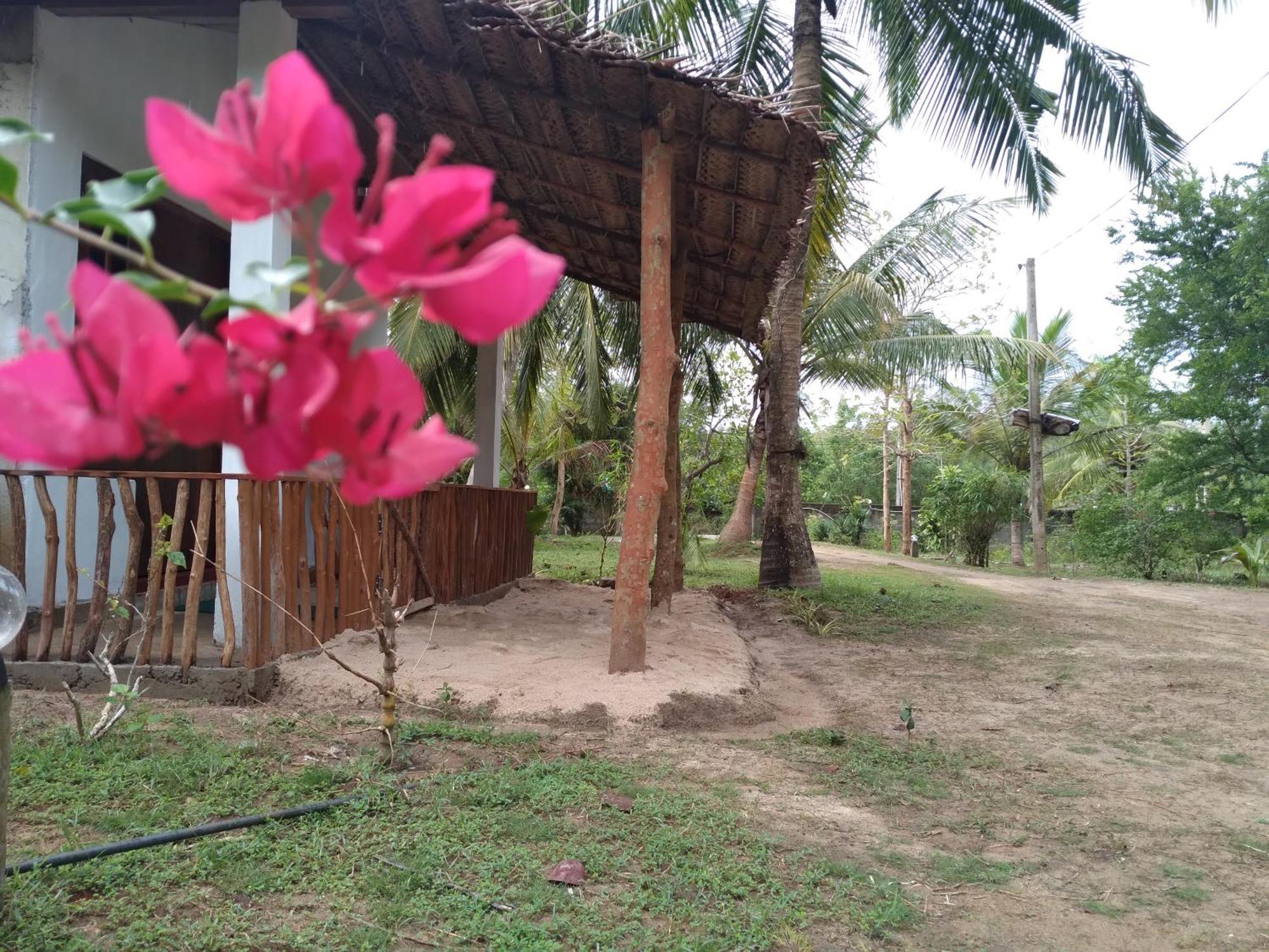 Soma Cabana, Homestay & Restaurant Tangalle Exterior photo